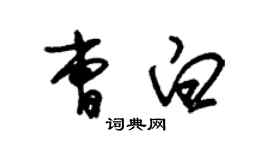 朱錫榮曹白草書個性簽名怎么寫