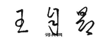 駱恆光王自昂草書個性簽名怎么寫