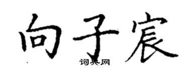 丁謙向子宸楷書個性簽名怎么寫