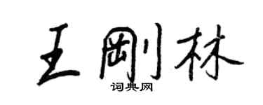 王正良王剛林行書個性簽名怎么寫