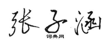 駱恆光張子涵行書個性簽名怎么寫
