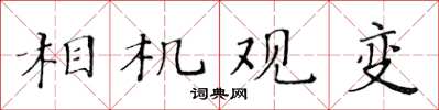 黃華生相機觀變楷書怎么寫