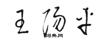 駱恆光王陽平草書個性簽名怎么寫