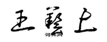 曾慶福王藝上草書個性簽名怎么寫