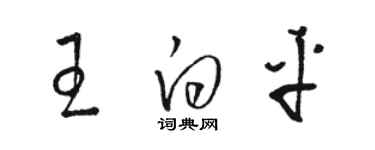 駱恆光王白平草書個性簽名怎么寫