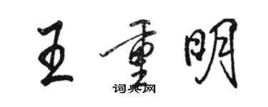 駱恆光王重明行書個性簽名怎么寫