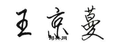 駱恆光王京蔓行書個性簽名怎么寫