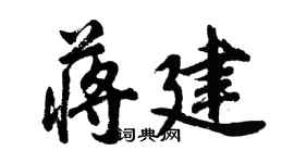胡問遂蔣建行書個性簽名怎么寫