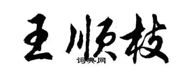 胡問遂王順枝行書個性簽名怎么寫
