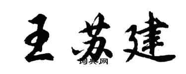 胡問遂王蘇建行書個性簽名怎么寫