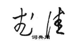 駱恆光武佳草書個性簽名怎么寫