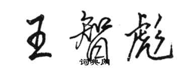 駱恆光王智彪行書個性簽名怎么寫