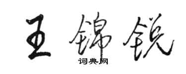 駱恆光王錦銳行書個性簽名怎么寫