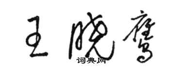 駱恆光王曉鷹草書個性簽名怎么寫