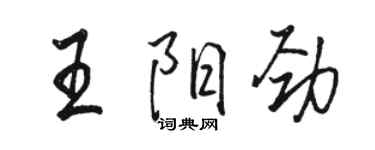 駱恆光王陽勁行書個性簽名怎么寫