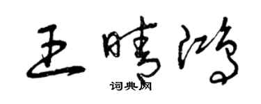 曾慶福王晴鴻草書個性簽名怎么寫