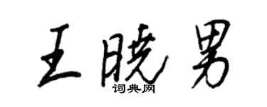 王正良王曉男行書個性簽名怎么寫