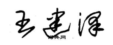 朱錫榮王建澤草書個性簽名怎么寫