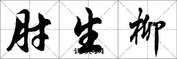 胡問遂肘生柳行書怎么寫