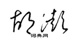 梁錦英胡澎草書個性簽名怎么寫