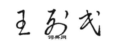 駱恆光王列民草書個性簽名怎么寫