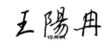 王正良王陽冉行書個性簽名怎么寫