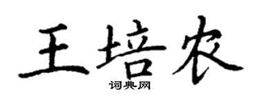 丁謙王培農楷書個性簽名怎么寫