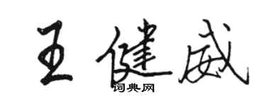 駱恆光王健威行書個性簽名怎么寫