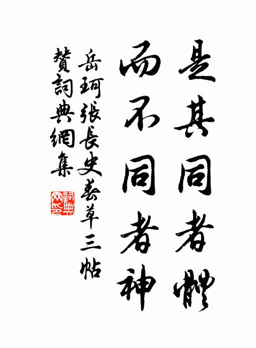 岳珂是其同者體,而不同者神書法作品欣賞