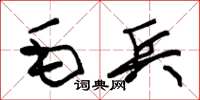 朱錫榮毛兵草書怎么寫
