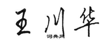 駱恆光王川華行書個性簽名怎么寫