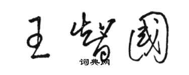 駱恆光王智國草書個性簽名怎么寫