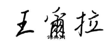 王正良王爾拉行書個性簽名怎么寫