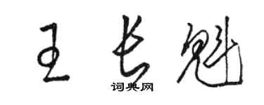 駱恆光王長魁草書個性簽名怎么寫