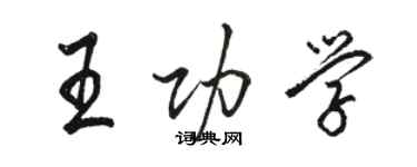 駱恆光王功學行書個性簽名怎么寫