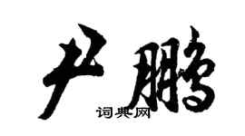 胡問遂尹鵬行書個性簽名怎么寫