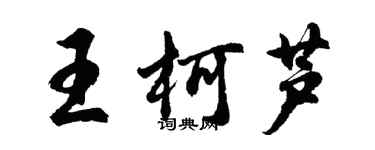 胡問遂王柯蘆行書個性簽名怎么寫