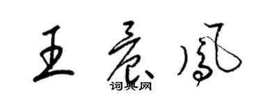 梁錦英王晨鳳草書個性簽名怎么寫