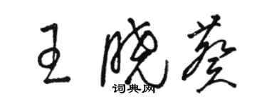 駱恆光王曉葵草書個性簽名怎么寫