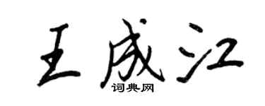 王正良王成江行書個性簽名怎么寫