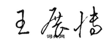 駱恆光王展博草書個性簽名怎么寫