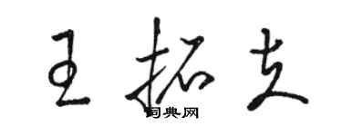 駱恆光王拓夫草書個性簽名怎么寫