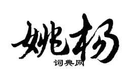 胡問遂姚楊行書個性簽名怎么寫