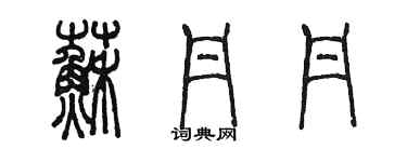 陳墨蘇丹丹篆書個性簽名怎么寫