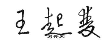 駱恆光王起雙草書個性簽名怎么寫