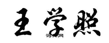 胡問遂王學照行書個性簽名怎么寫