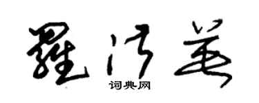 朱錫榮羅淑英草書個性簽名怎么寫