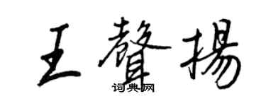 王正良王聲揚行書個性簽名怎么寫