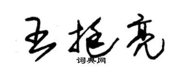 朱錫榮王挺亮草書個性簽名怎么寫