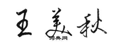 駱恆光王美秋行書個性簽名怎么寫